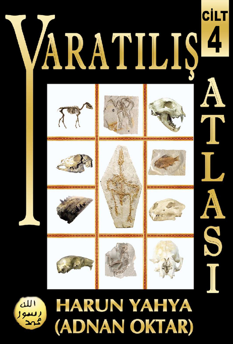 Yaratılış Atlası - 4